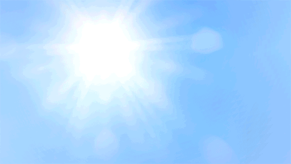 GIF - Coyote Intro